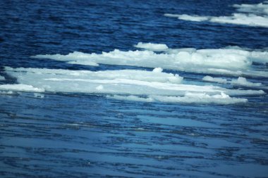 Monbetsu Limanı 'nda yüzen buz ve Garinco