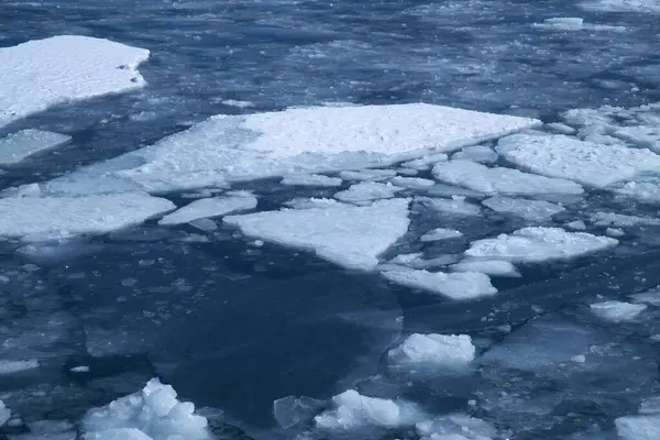 Monbetsu Limanı 'nda buz ve Garinko akıntısı