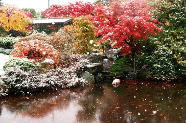 Joge Center 'daki Nomura Mammid' e kar yağıyor.