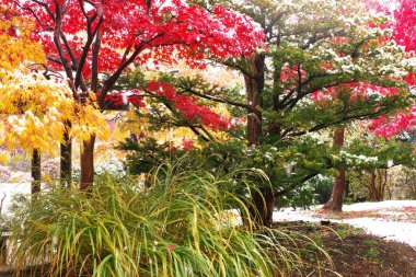 Joge Center 'daki Nomura Mammid' e kar yağıyor.