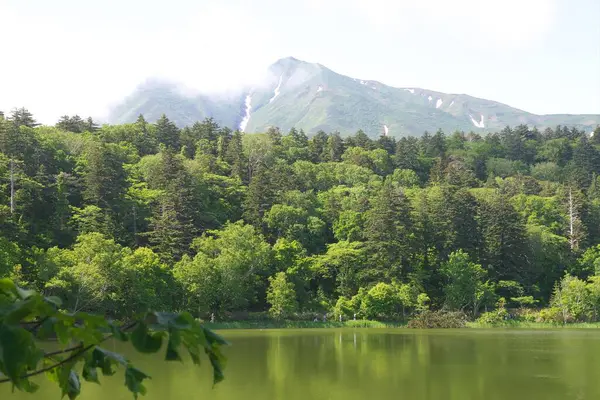 Güzel Rishiri-Rebun-Sarobetsu Ulusal Parkı