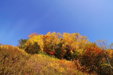 Sonbaharın sonunda güzel Hoheikyo Barajı