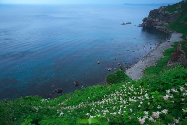 Mikuni, Shakotan Kasabası Güney Hokkaido 'da muhteşem bir yerdir.