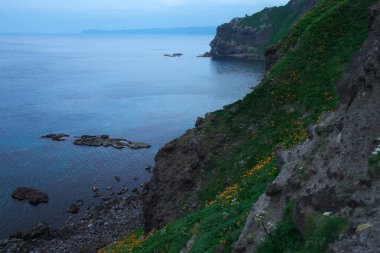 Mikuni, Shakotan Kasabası Güney Hokkaido 'da muhteşem bir yerdir.