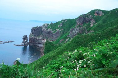Mikuni, Shakotan Kasabası Güney Hokkaido 'da muhteşem bir yerdir.