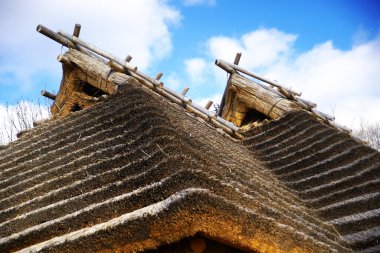 Shiraoi kasabasında Poroto Gölü kıyısında doğan harika bir Upopoy.