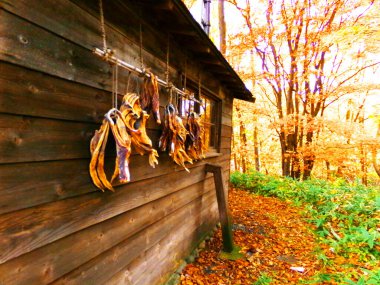 Hokkaido 'nun gelişiminin nostaljik tarihi