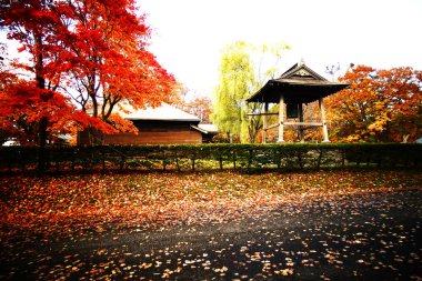 Hokkaido 'nun gelişiminin nostaljik tarihi