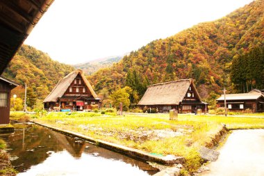 Gokayama, bir Dünya Mirası Alanı, sonbaharın sonlarında aydınlandı