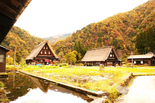 Gokayama, bir Dünya Mirası Alanı, sonbaharın sonlarında aydınlandı