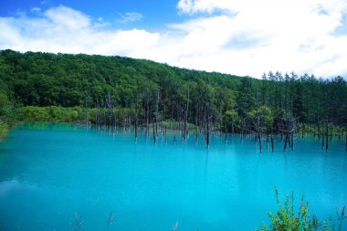 Biei 'nin Akan Ulusal Parkı' ndaki görkemli Mavi Gölet
