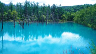Biei 'nin Akan Ulusal Parkı' ndaki görkemli Mavi Gölet