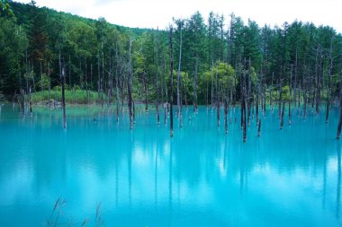 Biei 'nin Akan Ulusal Parkı' ndaki görkemli Mavi Gölet