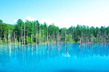 Biei 'nin Akan Ulusal Parkı' ndaki görkemli Mavi Gölet