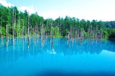 Biei 'nin Akan Ulusal Parkı' ndaki görkemli Mavi Gölet