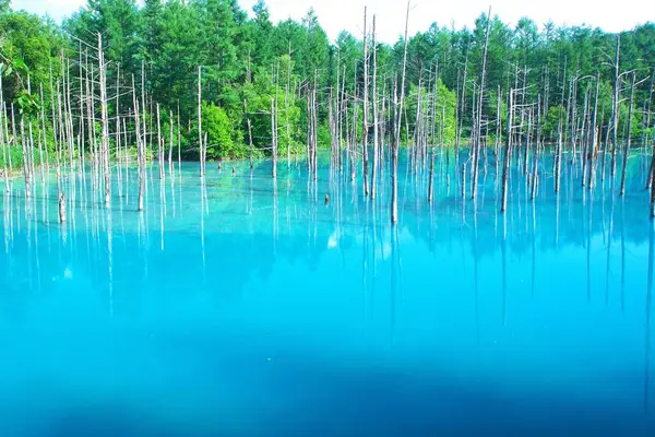 Biei 'nin Akan Ulusal Parkı' ndaki görkemli Mavi Gölet