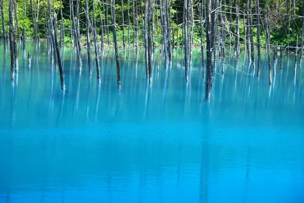 Biei 'nin Akan Ulusal Parkı' ndaki görkemli Mavi Gölet