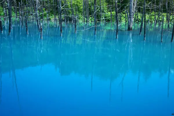 Biei 'nin Akan Ulusal Parkı' ndaki görkemli Mavi Gölet