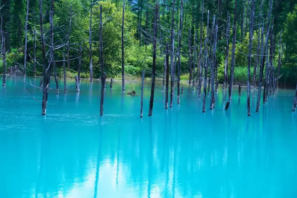 Biei 'nin Akan Ulusal Parkı' ndaki görkemli Mavi Gölet
