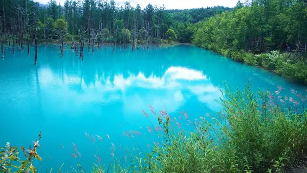 Biei 'nin Akan Ulusal Parkı' ndaki görkemli Mavi Gölet