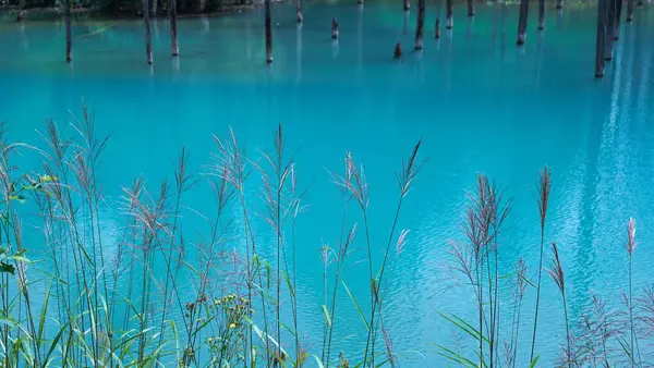 Biei 'nin Akan Ulusal Parkı' ndaki görkemli Mavi Gölet
