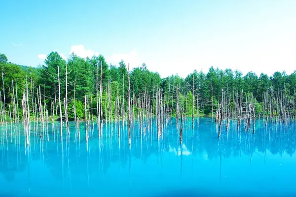 Biei 'nin Akan Ulusal Parkı' ndaki görkemli Mavi Gölet