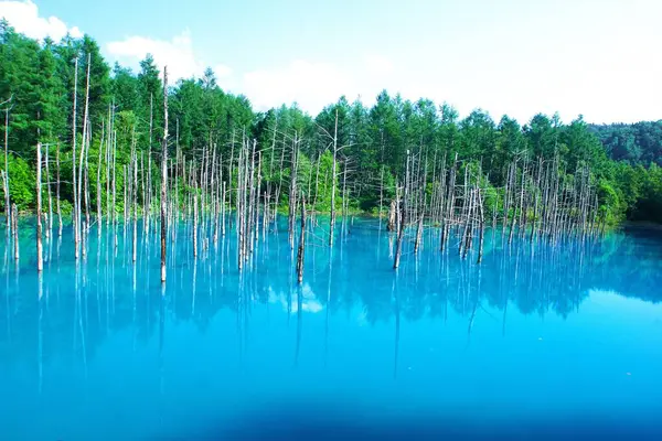 Biei 'nin Akan Ulusal Parkı' ndaki görkemli Mavi Gölet