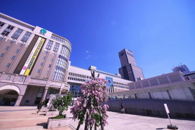 Mayıs 'ta JR Sapporo İstasyonu' nda leylaklar çiçek açacak