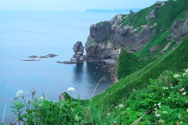 Güney Hokkaido 'nun muhteşem manzarası Shakotan Yarımadası' dır.