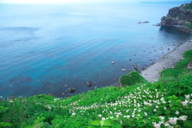 Güney Hokkaido 'nun muhteşem manzarası Shakotan Yarımadası' dır.