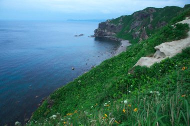 Güney Hokkaido 'nun muhteşem manzarası Shakotan Yarımadası' dır.