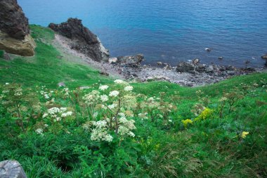 Güney Hokkaido 'nun muhteşem manzarası Shakotan Yarımadası' dır.