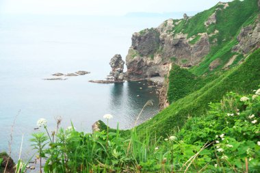 Güney Hokkaido 'nun muhteşem manzarası Shakotan Yarımadası' dır.