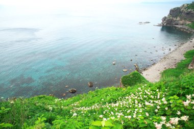 Güney Hokkaido 'nun muhteşem manzarası Shakotan Yarımadası' dır.