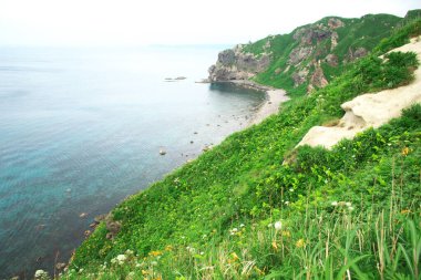Güney Hokkaido 'nun muhteşem manzarası Shakotan Yarımadası' dır.
