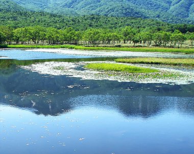 Dünya Doğa Mirası Alanı Shiretoko 'nun muhteşem manzarası