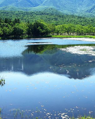 Dünya Doğa Mirası Alanı Shiretoko 'nun muhteşem manzarası