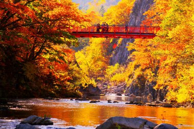 Jozankei Onsen 'deki Futami Askı Köprüsü parlak kırmızıya boyandı