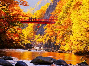 Jozankei Onsen 'deki Futami Askı Köprüsü parlak kırmızıya boyandı