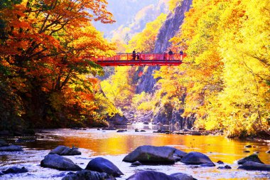 Jozankei Onsen 'deki Futami Askı Köprüsü parlak kırmızıya boyandı