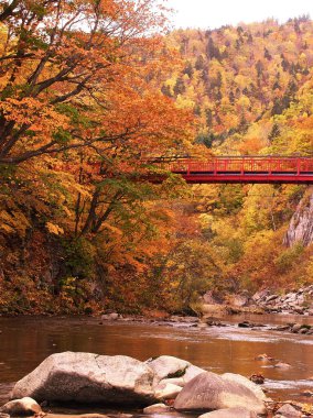 Jozankei Onsen 'deki Futami Askı Köprüsü parlak kırmızıya boyandı