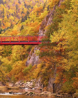 Jozankei Onsen 'deki Futami Askı Köprüsü parlak kırmızıya boyandı