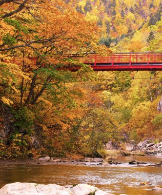 Jozankei Onsen 'deki Futami Askı Köprüsü parlak kırmızıya boyandı