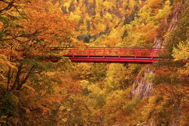 Jozankei Onsen 'deki Futami Askı Köprüsü parlak kırmızıya boyandı