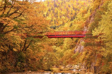 Jozankei Onsen 'deki Futami Askı Köprüsü parlak kırmızıya boyandı