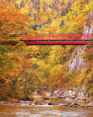 Jozankei Onsen 'deki Futami Askı Köprüsü parlak kırmızıya boyandı