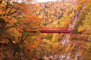 Jozankei Onsen 'deki Futami Askı Köprüsü parlak kırmızıya boyandı