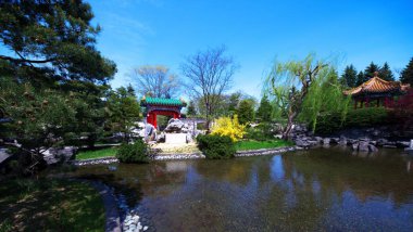 Mavi gökyüzüyle yıkanmış ferahlatıcı bir Çin bahçesi.