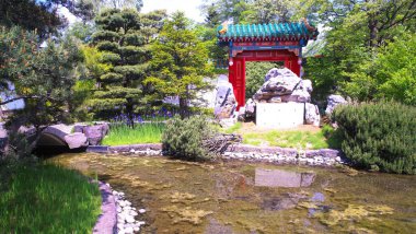 Mavi gökyüzüyle yıkanmış ferahlatıcı bir Çin bahçesi.