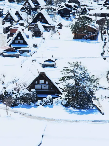 Shirakawa-go 'nun yoğun kar bölgesinin muhteşem manzarası.